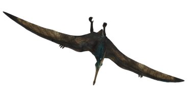 Pterosaur engin tarih öncesi gökyüzünde uçuyor.