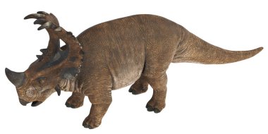 Bir Styracosaurus dinozorunun gerçekçi modeli.