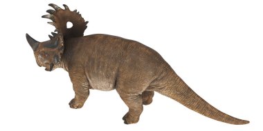 Beyaz arka planda kahverengi boynuzlu dinozor