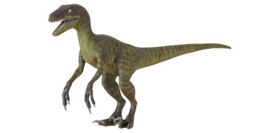 Gerçekçi Velociraptor dinozor modeli görüntüsü