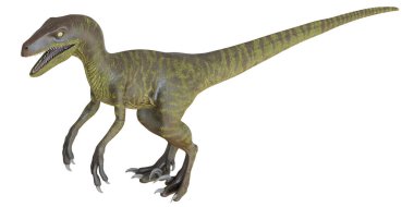 beyaz arkaplanda velociraptor dinazoru