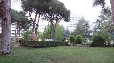 Ağaçları ve yemyeşil yemyeşil olan sakin şehir parkı