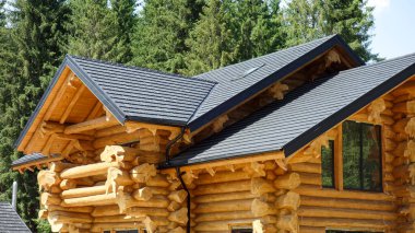 Kırsal ahşap kulübe yemyeşil ağaçlarla çevrili..