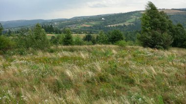 Bereketli yemyeşil ve uzak tepeleri olan huzurlu bir çayır..
