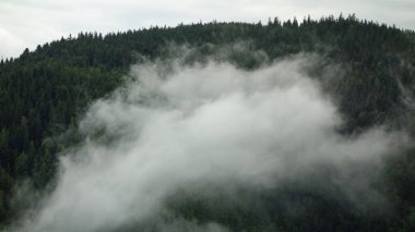 Bereketli yeşil orman dağları üzerinde puslu bir sabah