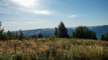 Açık mavi gökyüzünün altındaki manzaralı dağ çayırı.
