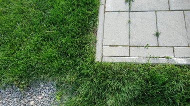 Çimenlerle kaldırım kenarları çakıllarla kaplı.