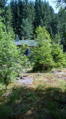 Etrafı yemyeşil ormanlarla çevrili tenha bir kulübe..