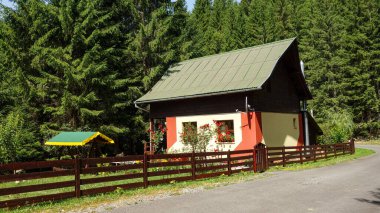 Etrafı yemyeşil ormanlarla çevrili büyüleyici bir kır evi..