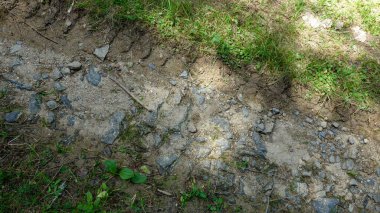 Çimen ve taşlarla kaplı engebeli toprak yol