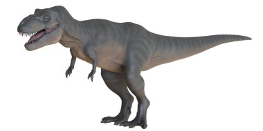 Gerçekçi Tyrannosaurus Rex çizimi