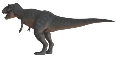 Dinamik bir profilde görkemli T-rex.