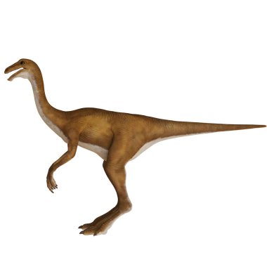Bir Gallimimus dinozorunun gerçekçi çizimi.