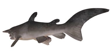 Tarih öncesi bir balığın gerçekçi tasviri