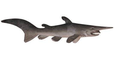 Beyaz arka planda goblin köpekbalığının gerçekçi modeli.