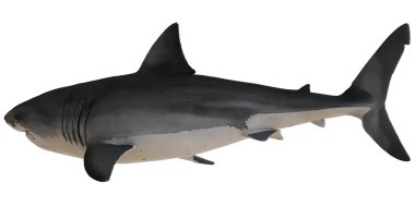 Büyük beyaz köpekbalığının gerçekçi 3 boyutlu modeli