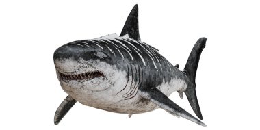 Hareket halindeki büyük beyaz köpekbalığının gerçekçi tasviri.