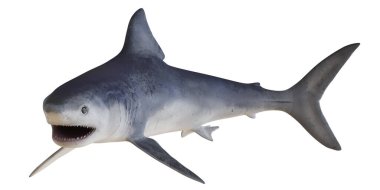 Beyaz arka planda gerçekçi büyük beyaz köpekbalığı