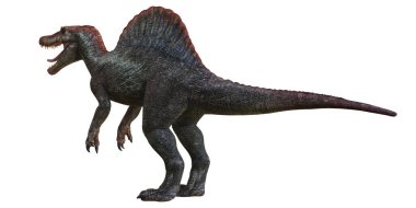 Majestic Spinosaurus eski vahşi doğada kükrüyor.