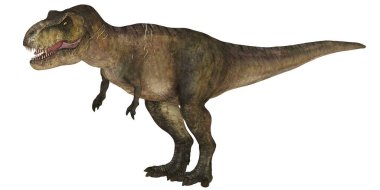 Gerçekçi T. Rex dinozor çizimi
