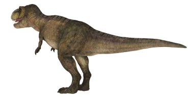 Bir Tyrannosaurus Rex 'in gerçekçi 3D canlandırması.