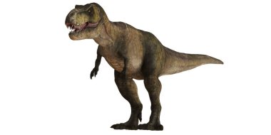 Tyrannosaurus Rex çarpıcı bir poz verdi.