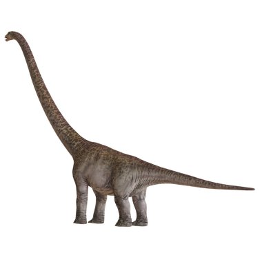 Görkemli Brachiosaurus profil görünümünde