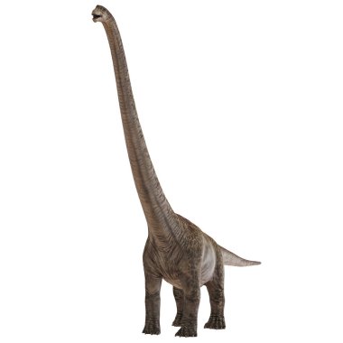 Majestic brachiosaurus uzun boyunlu, dik duruyor.