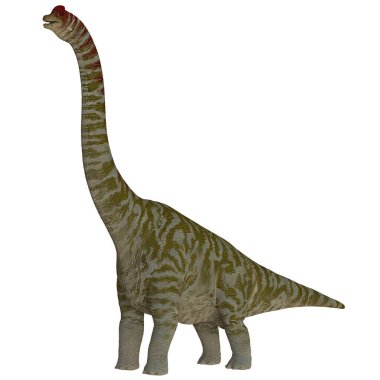 Gerçekçi brachiosaurus dinozor modeli