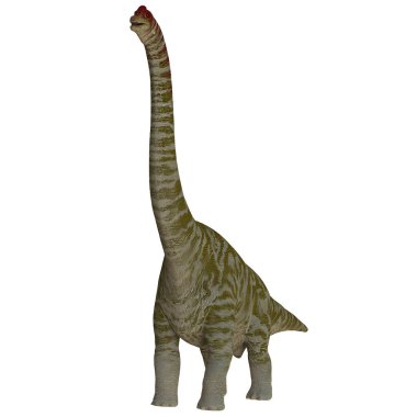 Uzun boyunlu ve çizgili çizgili görkemli bir dinozor.