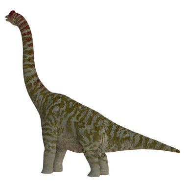 Görkemli Sauropod dinozor çizimi.