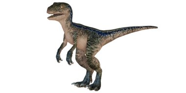 Çarpıcı detaylarda gerçekçi Velociraptor modeli.