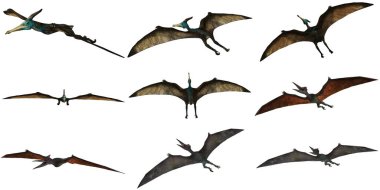 Uçan çeşitli Pterozor 'ların tasviri.