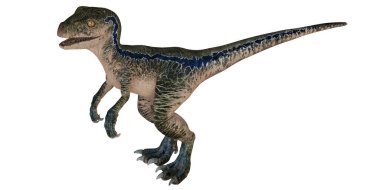 Gerçekçi Velociraptor dinozor oyuncağı izole.