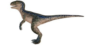 Gerçekçi velociraptor dinozor modeli