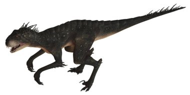 Sırtı sivri ve keskin pençeleri olan vahşi bir dinozor..