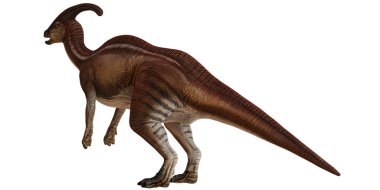 Bir Parasaurolophus dinozorunun tasviri.