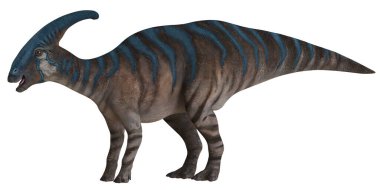Renkli Parasaurolophus dinozor çizimi