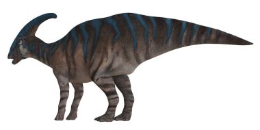 Renkli Parasaurolophus dinozor çizimi