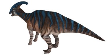 Farklı armalı renkli Parasaurolophus