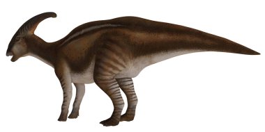 Gerçekçi bir dinozor modelinin yan görüntüsü.