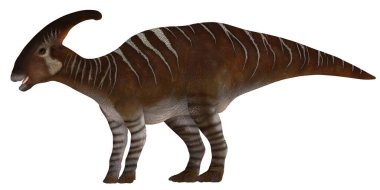 Gerçekçi Parasaurolophus dinozor çizimi