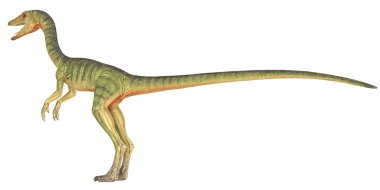 Beyaz arka plana karşı gerçekçi dinozor modeli.