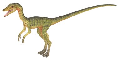 Uzun kuyruklu iki ayaklı yeşil bir dinozor tasviri