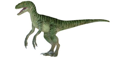 Velociraptor dinozorunun gerçekçi tasviri