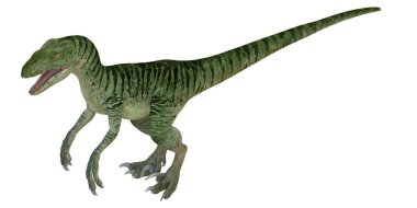 Bir Velociraptor dinozorunun 3 boyutlu canlandırması.