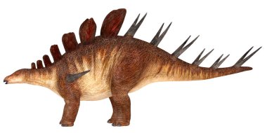 Stegosaurus dinozoru, omurgaları kaplanmış..