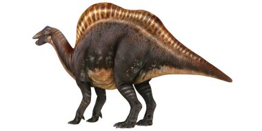 Bir Spinosaurus dinozorunun gerçekçi tasviri