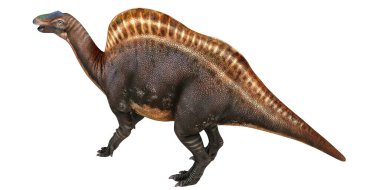 Beyaz arka planda Majestic Spinosaurus dinozoru
