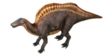 Bir Spinosaurus 'un gerçekçi renkli modeli